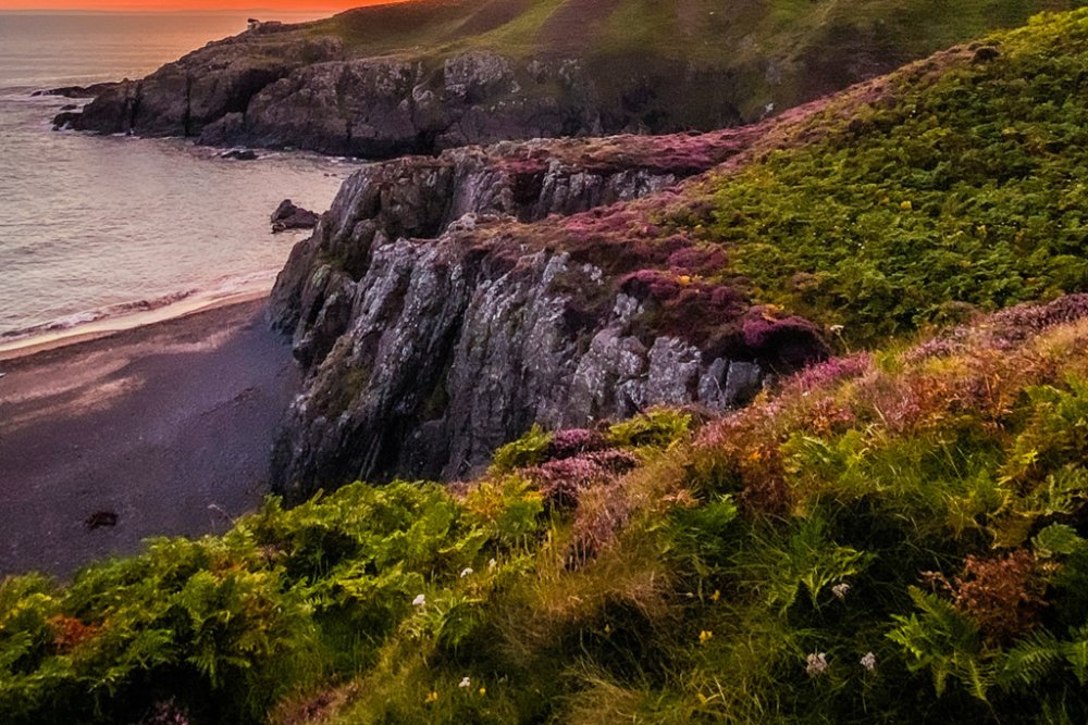 The Lighthouse