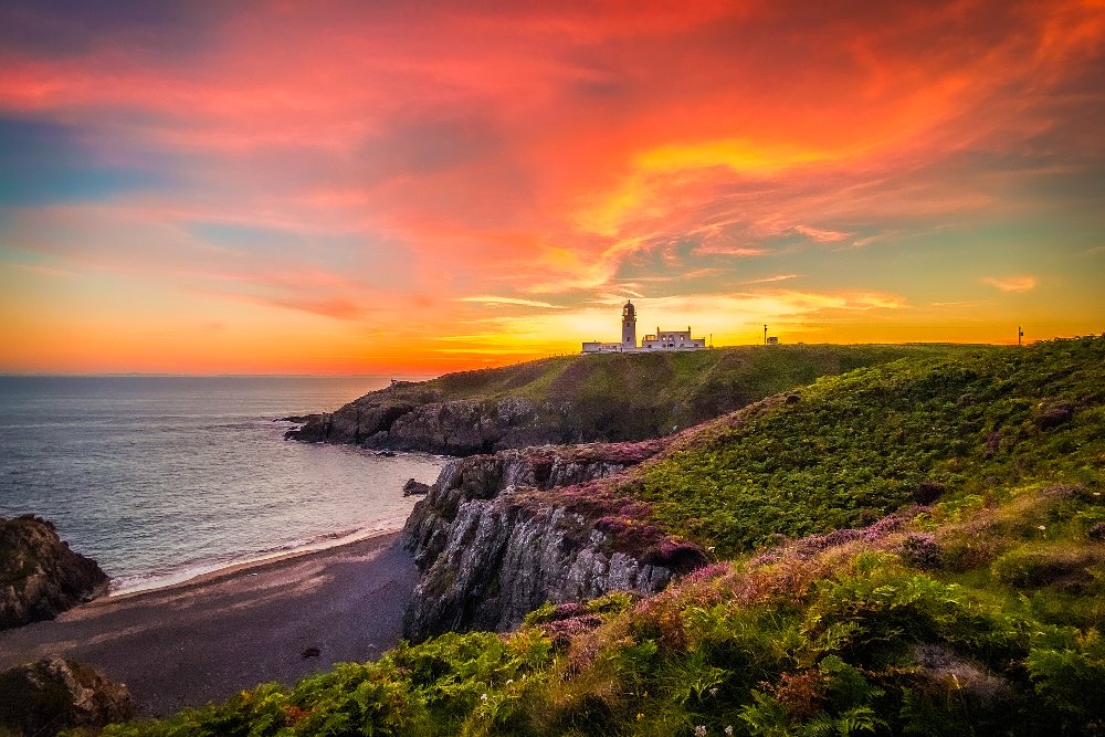 The Lighthouse