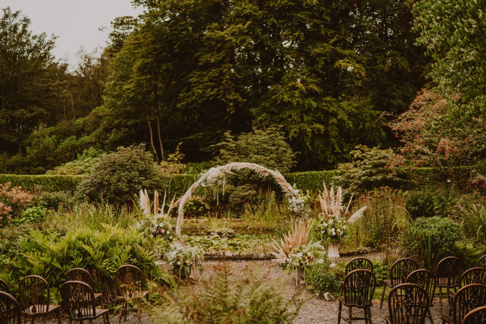 The Lily Pond